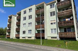 Immobilie kaufen in Ainbachallee, 8720 Knittelfeld, Lagerfläche in Mehrparteienhaus gelangt zum Verkauf. - WOHNTRAUM