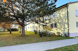 Wohnung kaufen in 2345 Brunn am Gebirge, ++ Wohlfühlwohnung in Ruhelage I MB IMMOBILIEN ++