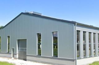 Büro zu mieten in Uferweg 1, 3204 Kirchberg an der Pielach, Hallenflächen zu vermieten (Lager, Produktion, Büro)