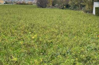 Grundstück zu kaufen in 7061 Trausdorf an der Wulka, Baugrundstück - Sackgasse - Fernsicht