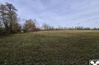 Grundstück zu kaufen in 4950 Altheim, Ebenerdiges Ackerland mit Brache