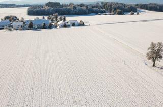 Immobilie kaufen in 4654 Aigen, So einfach kann Nachhaltigkeit sein - mit Ihrem Acker!