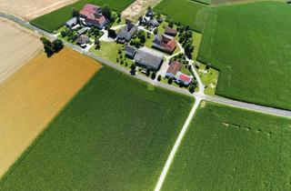 Immobilie kaufen in 4654 Aigen, So einfach kann Nachhaltigkeit sein - mit Ihrem Acker!