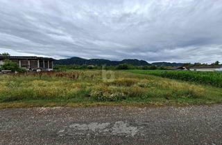 Grundstück zu kaufen in 9131 Grafenstein, Preisreduktion! ATTRAKTIVE LAGE IN AUTOBAHNNÄHE