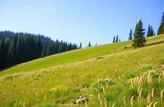 Grundstück zu kaufen in 9624 Egg, Landwirtschaftlich genutztes Grundstück