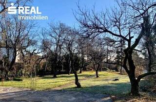 Einfamilienhaus kaufen in 2344 Maria Enzersdorf, NETTES EINFAMILIENHAUS in TOPLAGE mit BURGBLICK