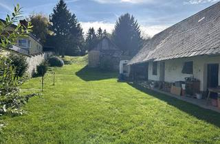 Grundstück zu kaufen in 2122 Ulrichskirchen, Großes Baugrundstück in Toplage – ländliches Wohnen vor den Toren Wolkersdorfs