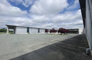 Büro zu mieten in 7561 Heiligenkreuz im Lafnitztal, "5.500 m² Halle für Industrie und Gewerbe"