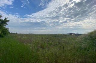 Grundstück zu kaufen in 2201 Hagenbrunn, ***GEWERBEBAUGRUNDSTÜCK im IZ HAGENBRUNN***