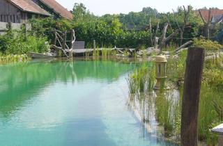Haus kaufen in 2013 Göllersdorf, - 1.974 M² GRUNDSTÜCK MIT ALTBESTAND & ERTRAGSPOTENZIAL