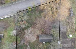 Grundstück zu kaufen in 2295 Oberweiden, Baugrundstück in Bahnhofsnähe ohne Bauzwang!