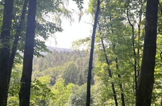 Agrarfläche kaufen in 8010 Graz, 150 ha Eigenjagd in der Steiermark