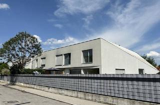 Wohnung mieten in Draschestraße, 1230 Wien, Ruhig gelegene 2-Zimmer Garten-Wohnung mit großem Garten und Küche inkl.