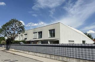 Wohnung mieten in Draschestraße, 1230 Wien, Ruhig gelegene 2-Zimmer Garten-Wohnung mit großem Garten und Küche inkl.