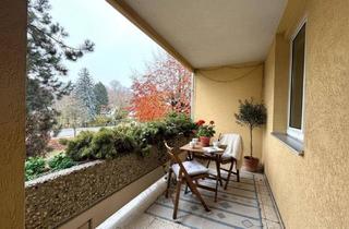 Wohnung mieten in 4222 Gusen, KEINE BEFRISTUNG! Adventsüberraschung: 1 Monat gratis wohnen! Sanierte 2-Zimmerwohnung inkl. Balkon + Parkplatz & Keller in St. Georgen an der Gusen! AB SOFORT!