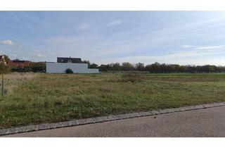 Grundstück zu kaufen in Martiniweg, 7141 Podersdorf am See, Baugrundstück in Podersdorf am See 824 m² sofort verfügbar