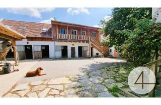 Haus kaufen in 3841 Windigsteig, Pferdehof - I GOOGLED MY SYMPTOMS