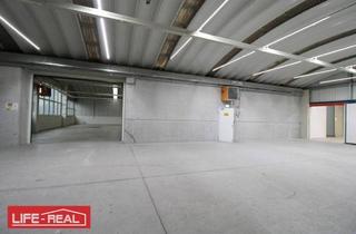Gewerbeimmobilie kaufen in 4715 Taufkirchen an der Trattnach, Vielseitiges Gewerbeareal mit Hallen, Büros und Außenflächen in Top-Lage – Taufkirchen/Trattnach
