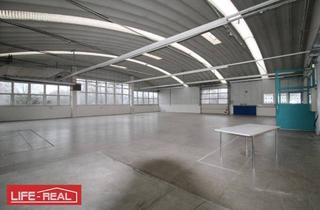 Büro zu mieten in 4715 Taufkirchen an der Trattnach, Vielseitiges Gewerbeareal mit Hallen, Büros und Außenflächen in Top-Lage – Taufkirchen/Trattnach