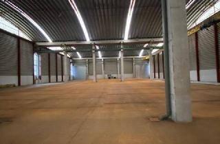 Gewerbeimmobilie mieten in Samergasse/Gniglerstraße, 5020 Salzburg, Lagerhalle mit Kranbahnen