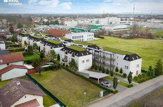 Grundstück zu kaufen in 2301 Groß-Enzersdorf, Traumhaftes 4.283 m² Bauträgergrundstück in Groß-Enzersdorf im Bieterverfahren – Ihr Platz für Visionen!