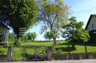 Grundstück zu kaufen in 4600 Wels, IHR TRAUM VOM EIGENHEIM - LÄNDLICH -ALTBAUMBESTAND - LEICHTE HANGLAGE