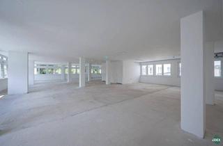 Büro zu mieten in Hietzinger Hauptstraße, 1130 Wien, Erstbezug: Moderne Bürofläche in Hietzinger Bestlage