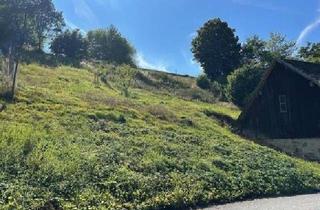 Grundstück zu kaufen in 3970 Weitra, Baugrundstück in Weitra