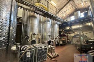 Gewerbeimmobilie kaufen in 2070 Retz, Für Visionäre der Weinwelt!