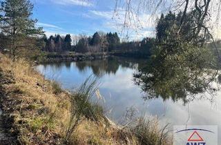 Gewerbeimmobilie kaufen in 3874 Litschau, Aktive Teichwirtschaft!