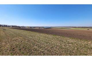 Grundstück zu kaufen in 2293 Marchegg, Traumhafte Baufläche in Marchegg in Waldrandlage! Perfekte Investitionsmöglichkeit für ihr Eigenheim!