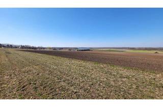 Grundstück zu kaufen in 2293 Marchegg, Traumhafte Baufläche in Marchegg in Waldrandlage! Perfekte Investitionsmöglichkeit für ihr Eigenheim!