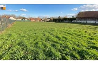 Grundstück zu kaufen in 2473 Potzneusiedl, > > Die extra Portion Sonne - attraktiver Baugrund in ruhiger Lage I MB IMMOBILIEN <