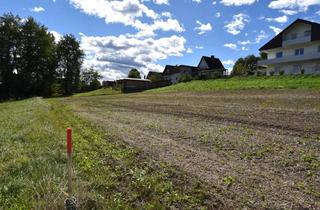 Grundstück zu kaufen in Fasslbauerweg 126, 8524 Bad Gams, Ihr ganz persönliches Paradies wartet auf Sie: Ländliche Idylle trifft auf perfekte Anbindung - Nur 25 Minuten von Graz entfernt! Tauchen Sie ein in Ruhe und Natur