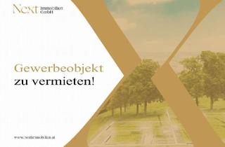 Büro zu mieten in Im Südpark, 4030 Linz, Hochwertige Gewerbeimmobilie in bester Lage von Linz zu vermieten!