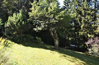 Grundstück zu kaufen in An der Grenze, 1140 Wien, Baugrundstück im Augustinerwald - Naturidylle mit Hanglage