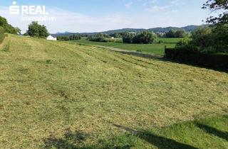 Grundstück zu kaufen in 8332 Edelsbach bei Feldbach, Traumhaftes Baugrundstück in 8332 Fladnitz im Raabtal