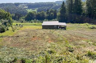 Grundstück zu kaufen in 8072 Fernitz, Großes, sonniges Baugrundstück in Hanglage bei Gnaning
