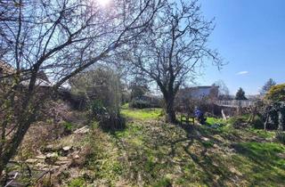 Grundstück zu kaufen in 1110 Wien, NEUER PREIS !!! SCHÖNES BAUGRUNDSTÜCK IN KAISEREBERSDORF