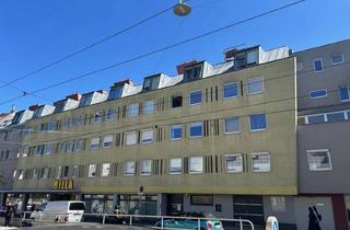 Wohnung mieten in Speisinger Straße 57-61/60, 1130 Wien, Wunderbar, helle 1-Zimmer-Wohnung im 13. Bezirk!