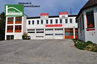 Büro zu mieten in 7082 Donnerskirchen, Büro, Geschäft, Werkstatt, Lager! Industriegelände Donnerskirchen! ab 10 m² ab 80€ Netto/Monat! - JETZT ZUSCHLAGEN