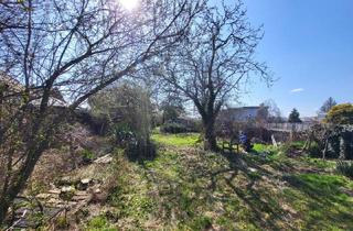 Grundstück zu kaufen in 1110 Wien, NEUER PREIS !!! SCHÖNES BAUGRUNDSTÜCK IN KAISEREBERSDORF