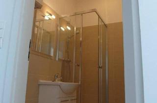 Wohnung mieten in 2544 Leobersdorf, Leobersdorf Top Single - Hauptmiete