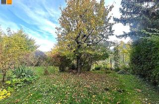 Reihenhaus kaufen in Waldgasse, 2371 Hinterbrühl, ++ Natur, Sonne, Stille – außergewöhnliche Ruhelage Nähe Wien I MB IMMOBILIEN