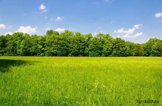 Gewerbeimmobilie kaufen in 8750 Judenburg, ++Gewerbefläche ab 5.000 m² in unmittelbarer Nähe zur S36++