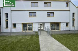 Haus kaufen in Am Freihof, 1220 Wien, Hochwertiges Neubau-Townhouse. Soeben fertig gestellt. Top Ausstattung – U Bahn nur wenige Gehminuten entfernt. - WOHNTRAUM