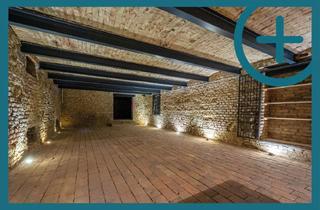 Immobilie mieten in Neudorfer Straße, 2340 Mödling, Weinkeller - Lagerfläche