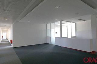 Büro zu mieten in 2320 Schwechat, Moderner Business Park - Büros zu mieten - 2320 Schwechat