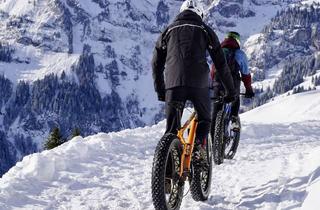Wohnung kaufen in 8970 Schladming, Schladming: Feel Well - Ankommen. Abschalten. Genießen. Exklusive 2-Zimmer-Wohnung mit Bergblick!