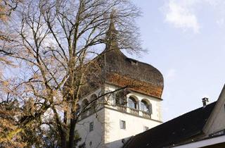 Maisonette kaufen in 6900 Bregenz, Historischer Blick, modernes Wohnen - Maisonette an der Oberstadt
